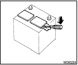 1. Remove the vent caps with a screwdriver as