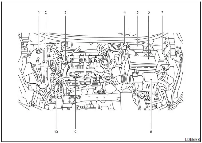 Engine bay layout of the Nissan Versa 1.6-liter four-cylinder HR16DE engine, highlighting dipstick, coolant reservoir, and fluid check locations