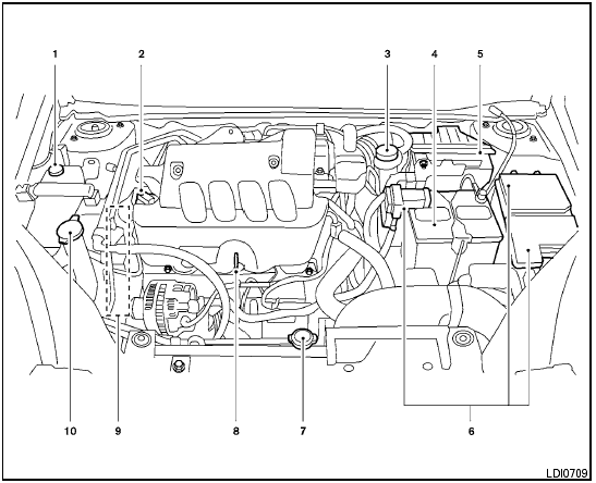 Engine compartment check locations - Illustrated table of contents ...