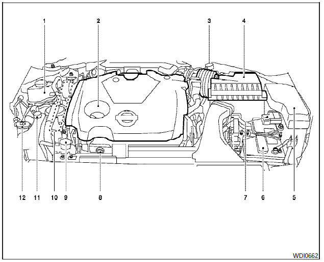 Engine compartment check locations