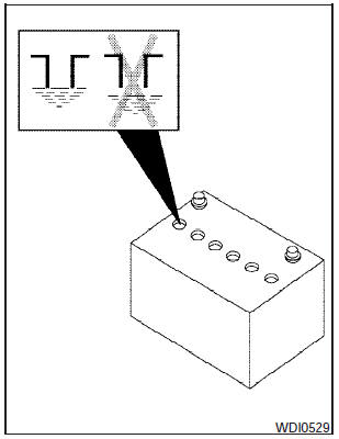 2. Check the fluid level in each cell. If it is