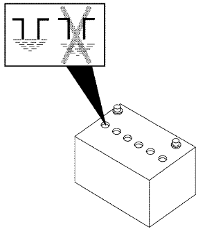 2. Check the fluid level in each cell. If it is