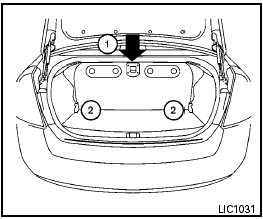 Accessing through trunk