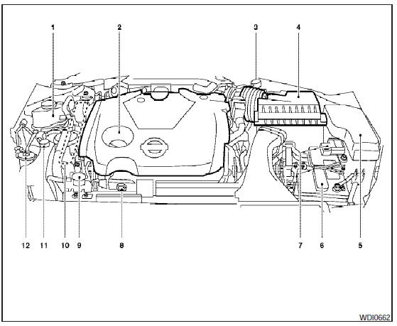 Engine compartment check locations