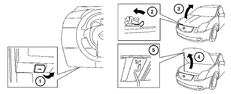 1 Pull the hood lock release handle located